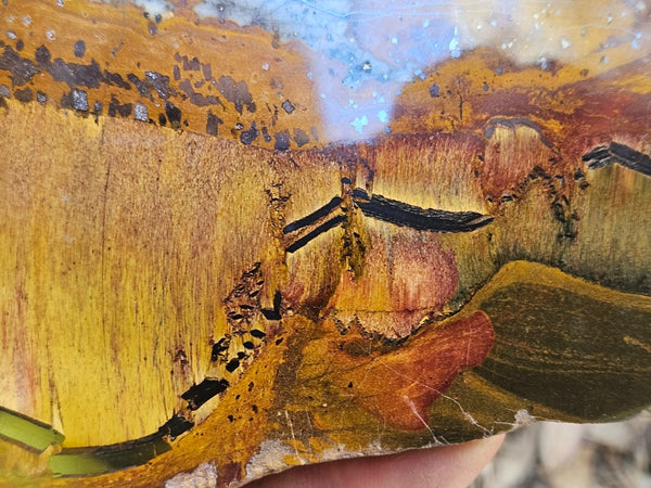 Polished Tiger Eye slab TE492