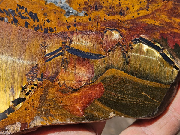 Polished Tiger Eye slab TE492