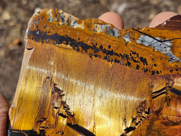 Polished Tiger Eye slab TE492