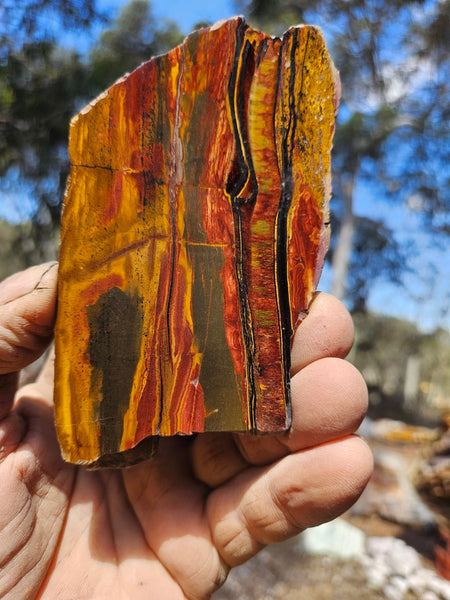 Polished Tiger Eye slab TE493