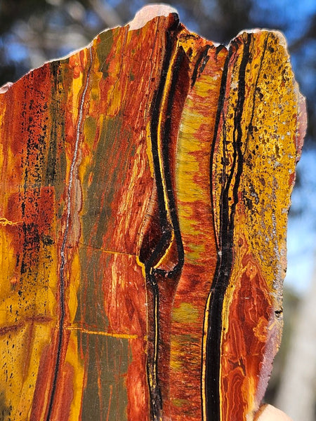 Polished Tiger Eye slab TE493
