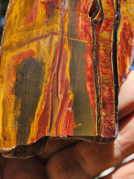 Polished Tiger Eye slab TE493