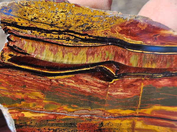 Polished Tiger Eye slab TE493