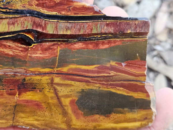 Polished Tiger Eye slab TE493