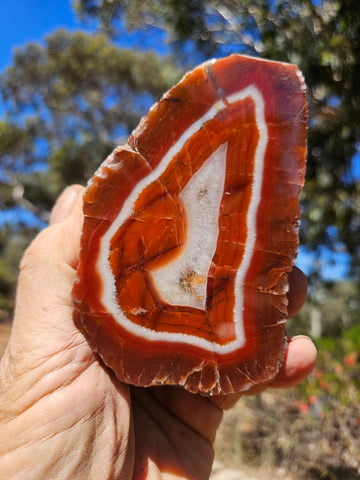 Polished Pilbara Agate PA284