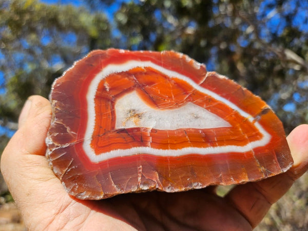 Polished Pilbara Agate PA284