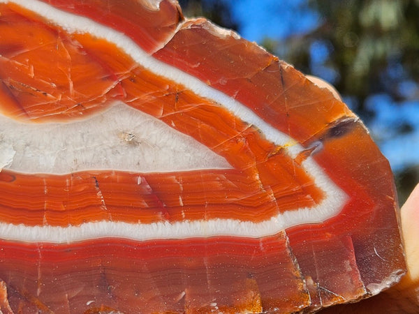 Polished Pilbara Agate PA284