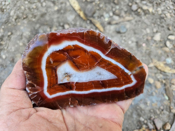 Polished Pilbara Agate PA284