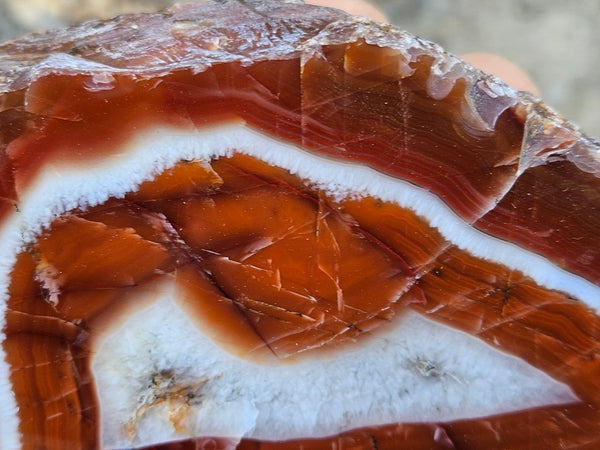 Polished Pilbara Agate PA284