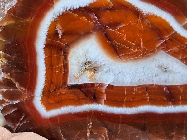 Polished Pilbara Agate PA284