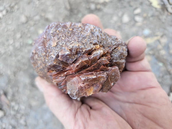 Polished Pilbara Agate PA284