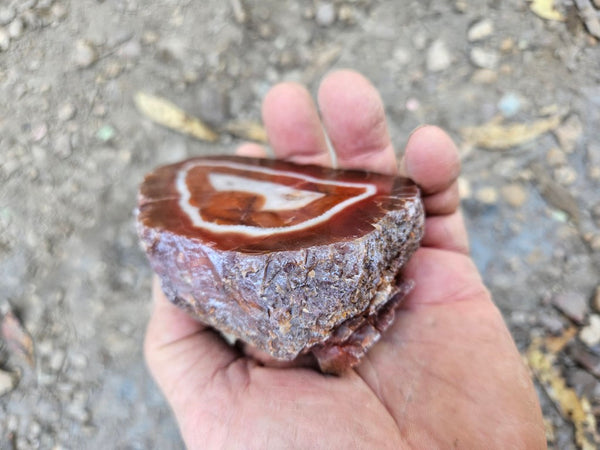 Polished Pilbara Agate PA284