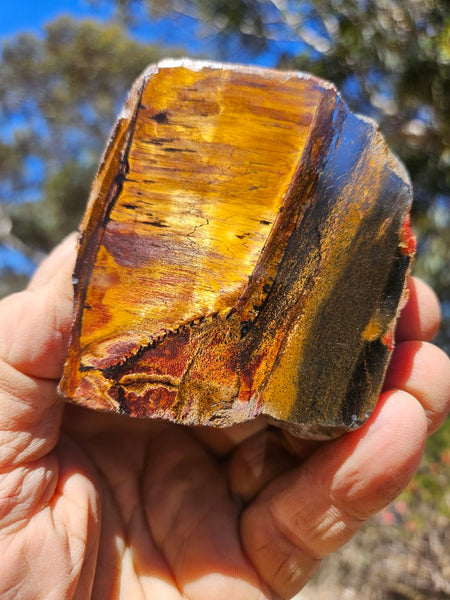 Polished Tiger Eye  TE490