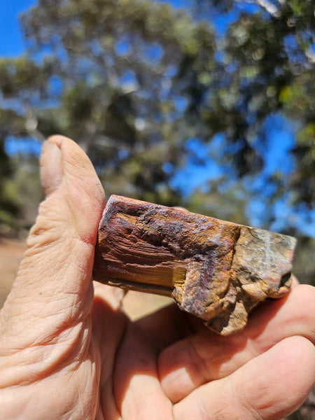 Polished Tiger Eye  TE490