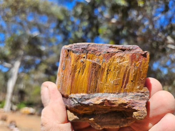 Polished Tiger Eye  TE490