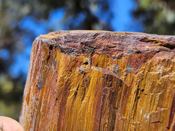 Polished Tiger Eye  TE490