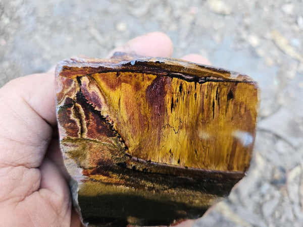 Polished Tiger Eye  TE490