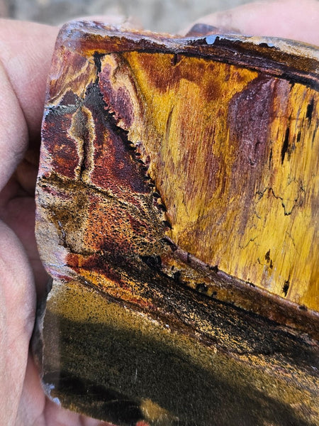 Polished Tiger Eye  TE490