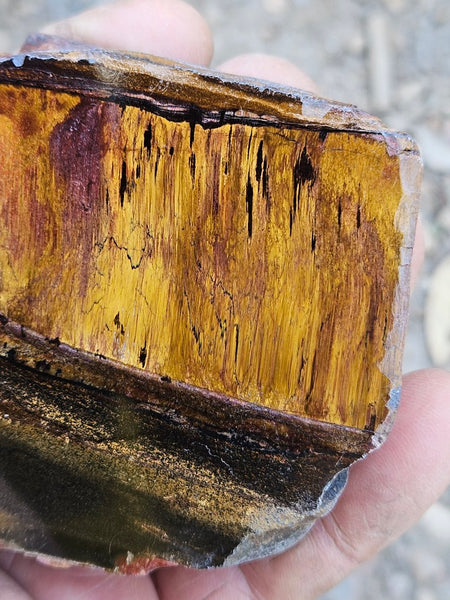 Polished Tiger Eye  TE490