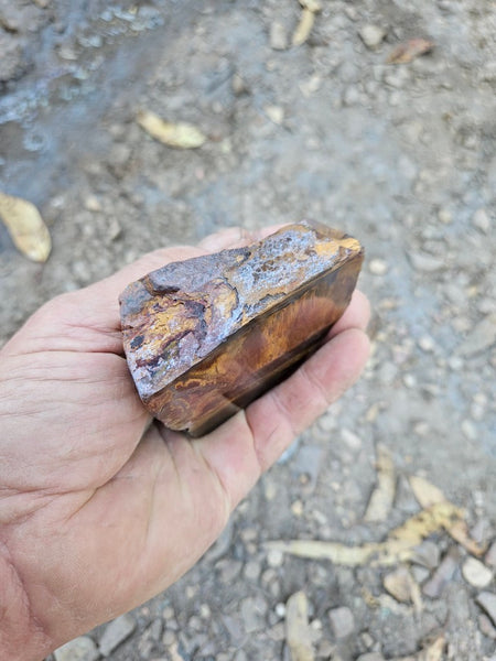 Polished Tiger Eye  TE490