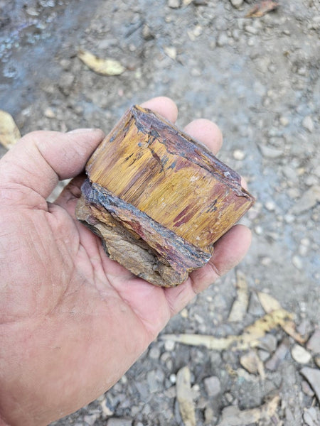 Polished Tiger Eye  TE490