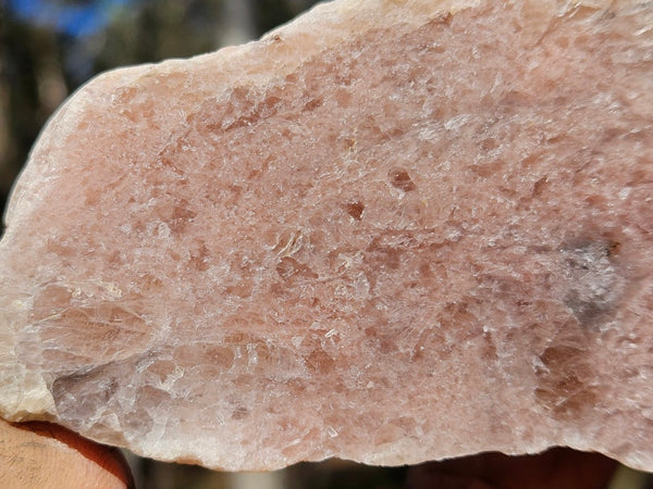 Polished Kunzite slab KU122