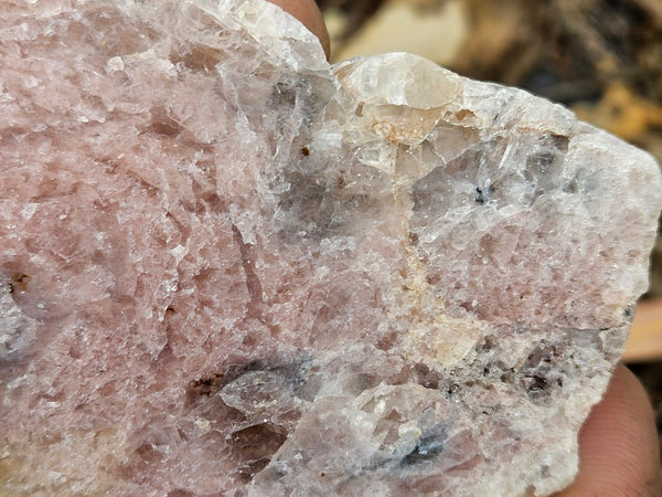 Polished Kunzite slab KU122