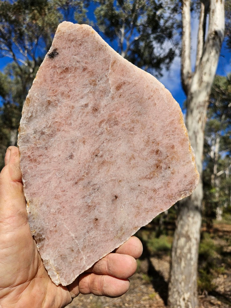 Polished Kunzite slab KU124