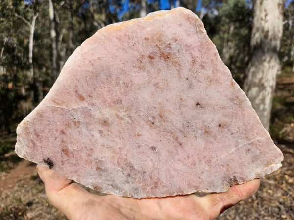 Polished Kunzite slab KU124