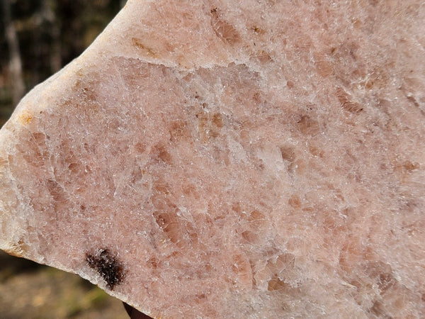 Polished Kunzite slab KU124