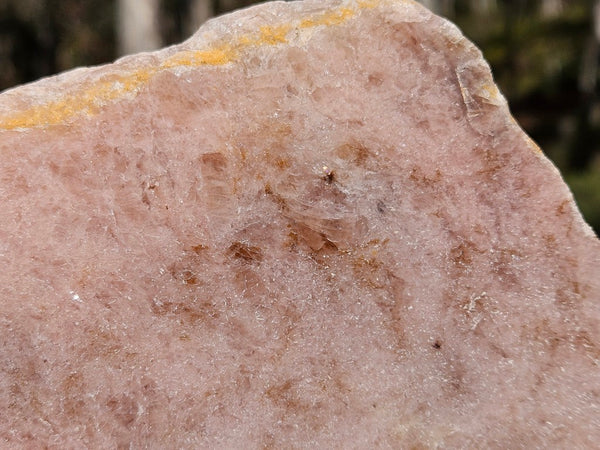Polished Kunzite slab KU124