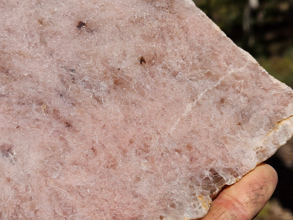 Polished Kunzite slab KU124