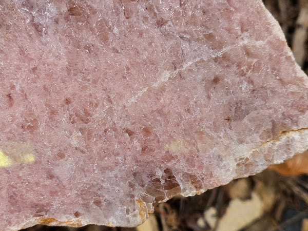 Polished Kunzite slab KU124