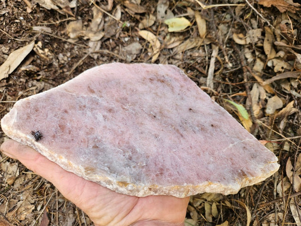 Polished Kunzite slab KU124