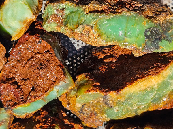 Chrysoprase rough.  CHR 210