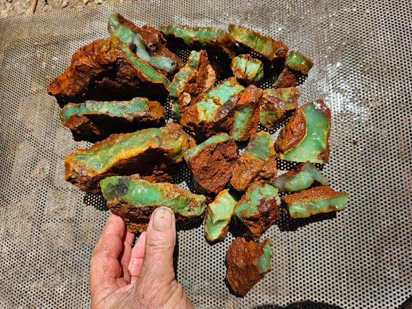 Chrysoprase rough.  CHR 210