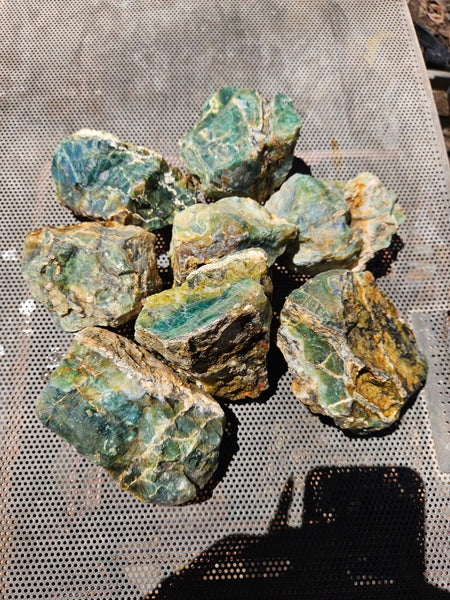 8 pieces of Green Opal  rough.  GOR 142
