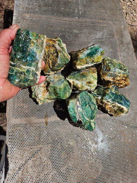 8 pieces of Green Opal  rough.  GOR 142