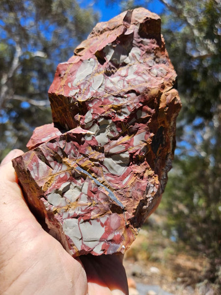 Noreena Jasper rough NJR189