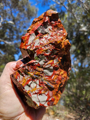 Noreena Jasper rough NJR189