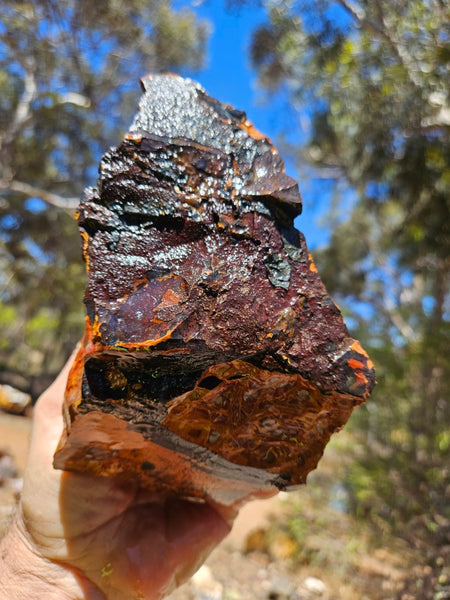 Noreena Jasper rough NJR189