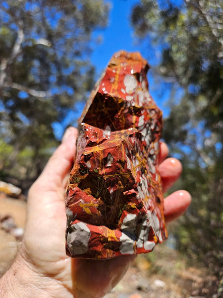 Noreena Jasper rough NJR189