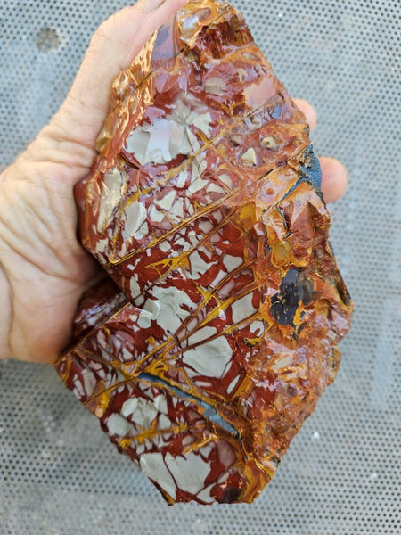 Noreena Jasper rough NJR189