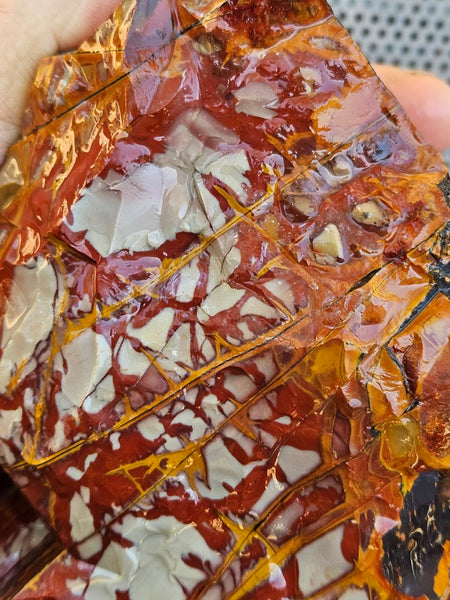 Noreena Jasper rough NJR189