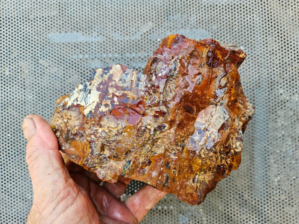 Noreena Jasper rough NJR189