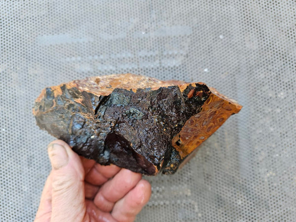 Noreena Jasper rough NJR189