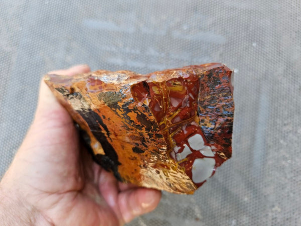 Noreena Jasper rough NJR189