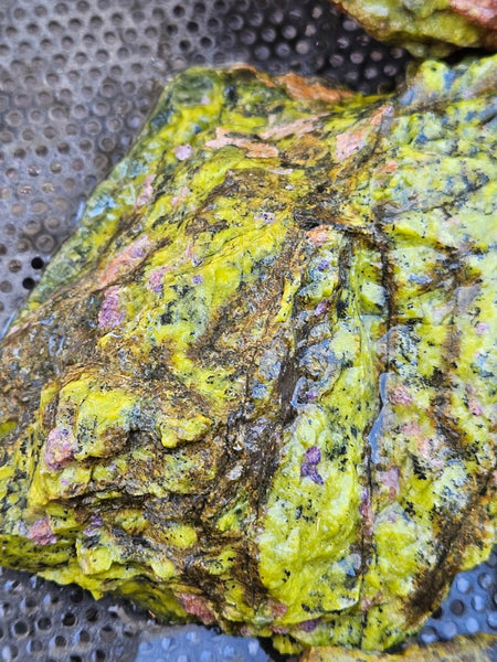 Rough Stichtite in Serpentine (Atlantisite) STR138