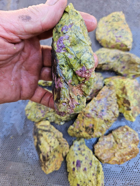 Rough Stichtite in Serpentine (Atlantisite) STR138