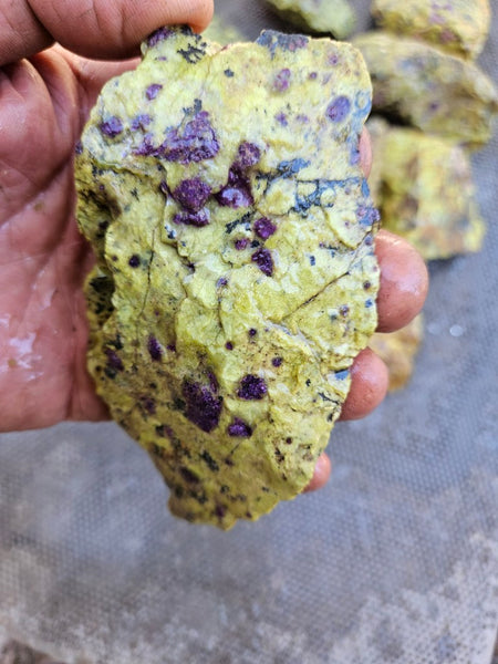 Rough Stichtite in Serpentine (Atlantisite) STR138